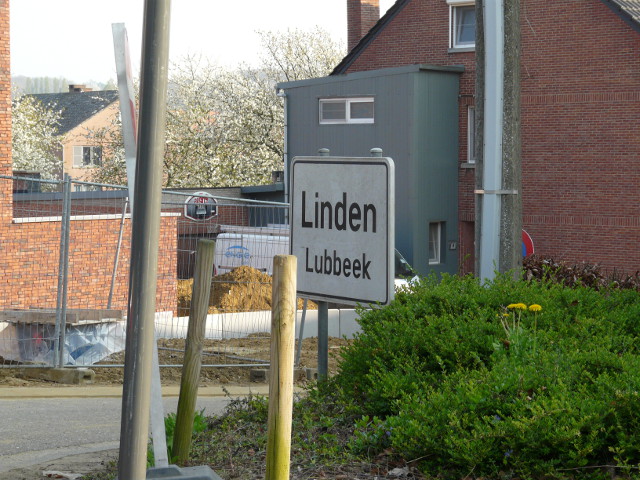 P1310319linden_w