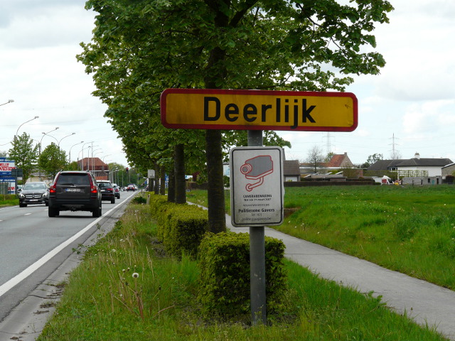 P1310635deerlijk_g