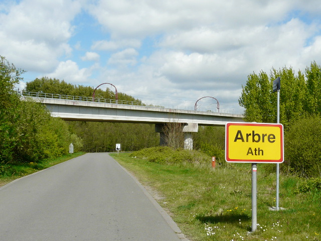 P1310792arbre_g