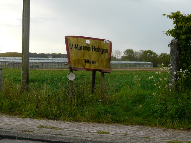 P1310949sintmartensbodegem_g