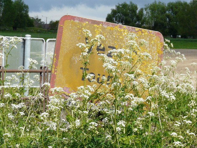 P1320007vezon_g