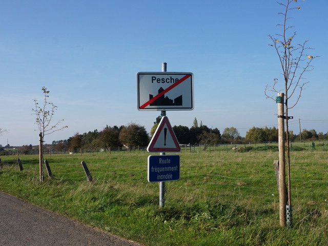DSC01737pesche_e