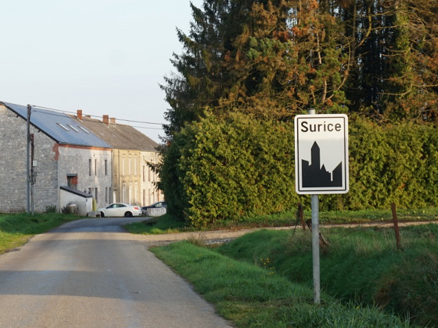 DSC01792surice_w