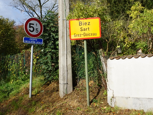 DSC01982biezsart_g