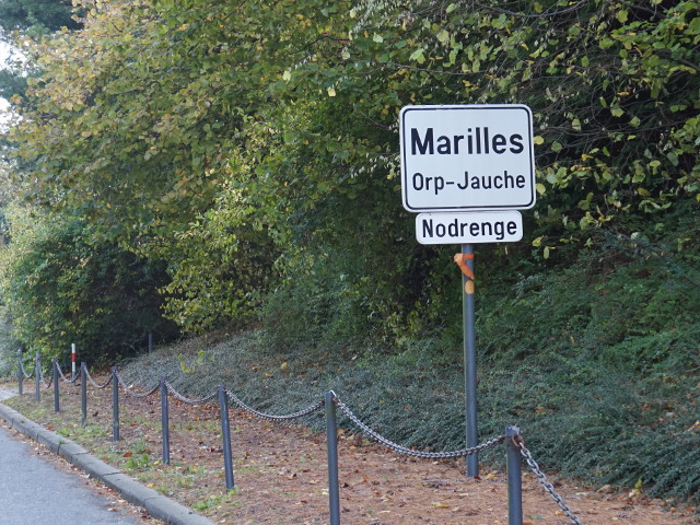 DSC02022marillesnodrenge_w