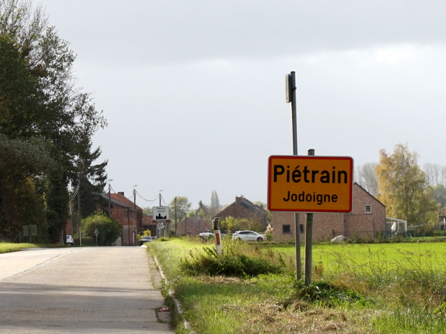 DSC02035pietrain_g