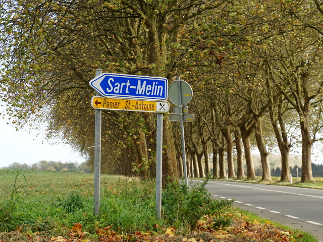 DSC02047sartmelin_x