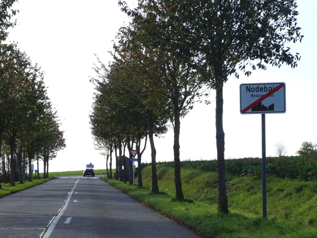 DSC02052nodebais_e