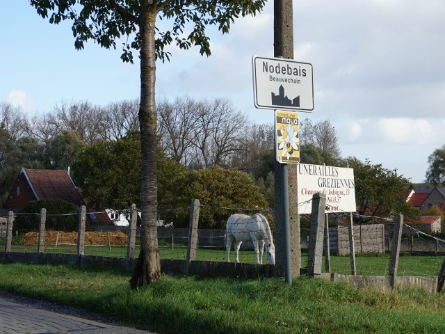 DSC02053nodebais_w