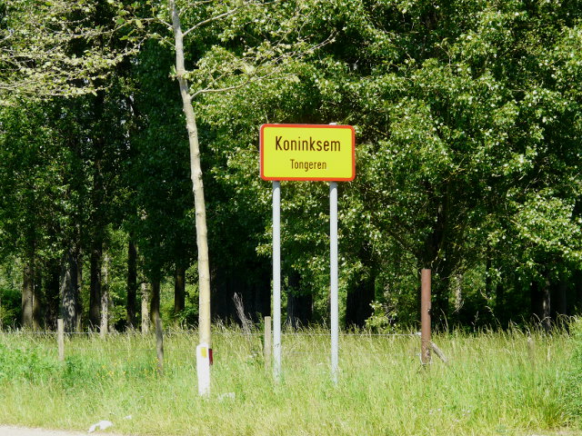 P1320372koninksem_g
