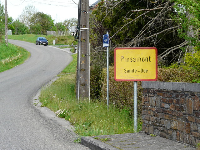 P1320510pinsamont_g