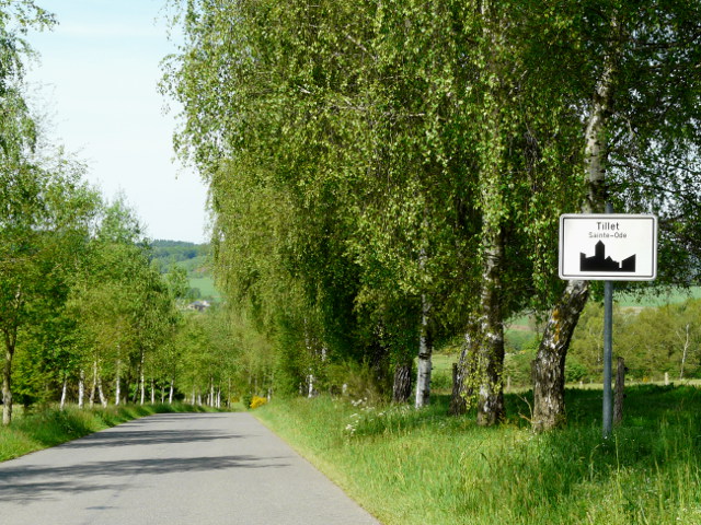 P1320515tillet_w