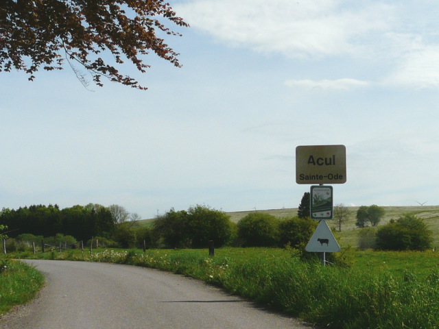 P1320519acul_g