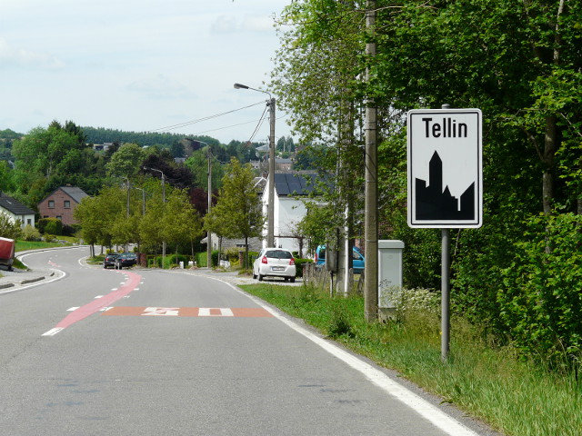 P1320560tellin_w