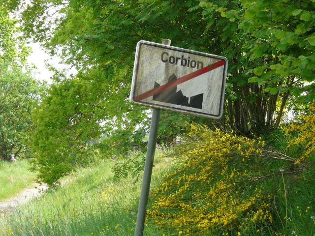 P1320655corbion_e