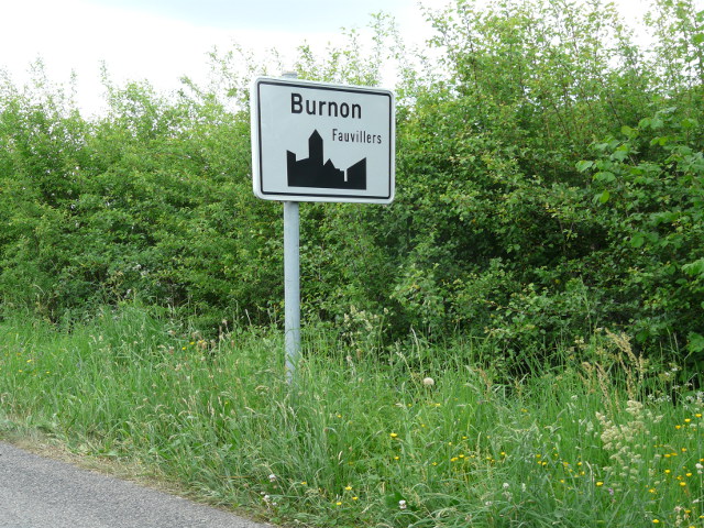 P1330003burnon_w
