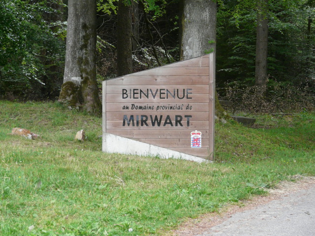 P1330045mirwart_n