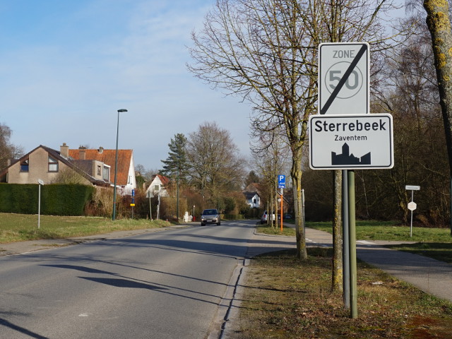 DSC02530sterrebeek_w