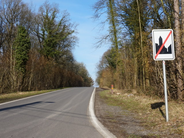 DSC02580nalinnes_niete