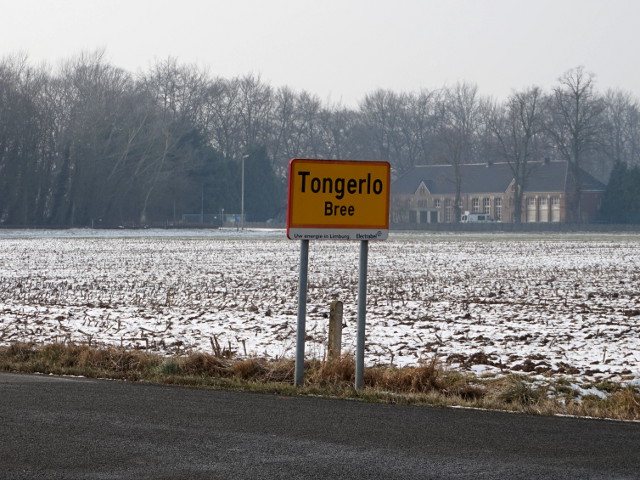 DSC02713tongerlo_g