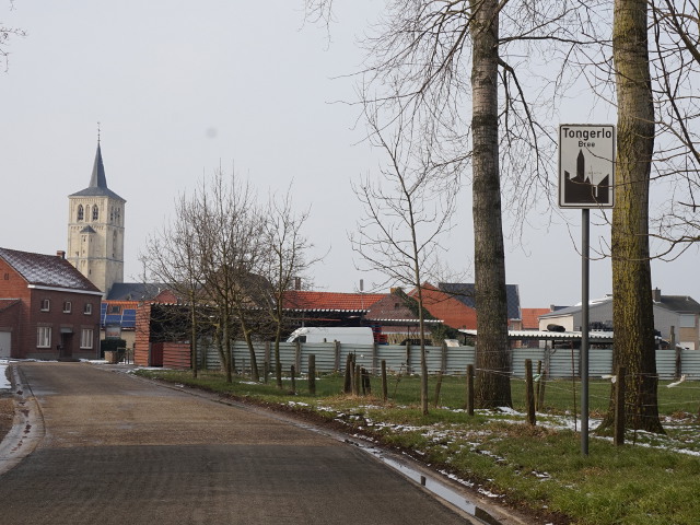 DSC02714tongerlo_w