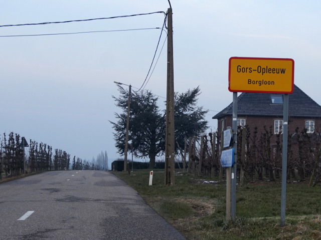 DSC02733gorsopleeuw_g