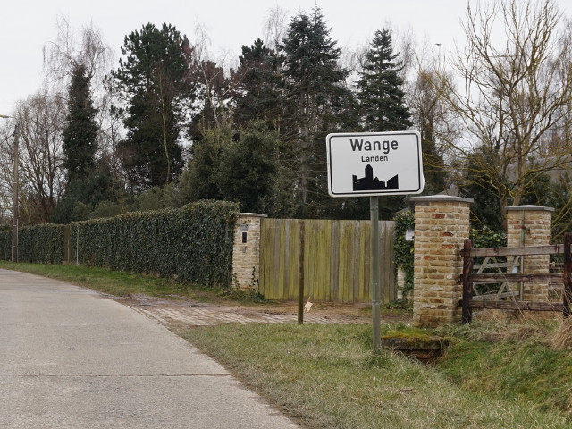 DSC02818wange_w