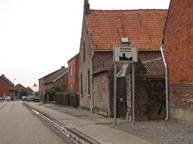 DSC02851runkelen_w