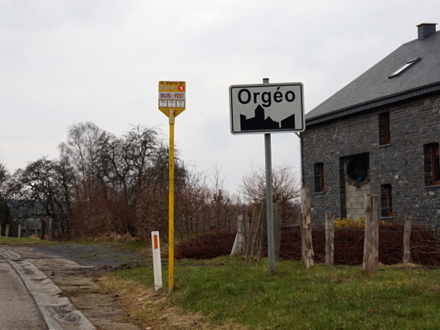 DSC03319orgeo_w