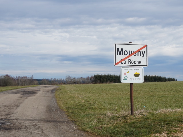 DSC03516mousny_e