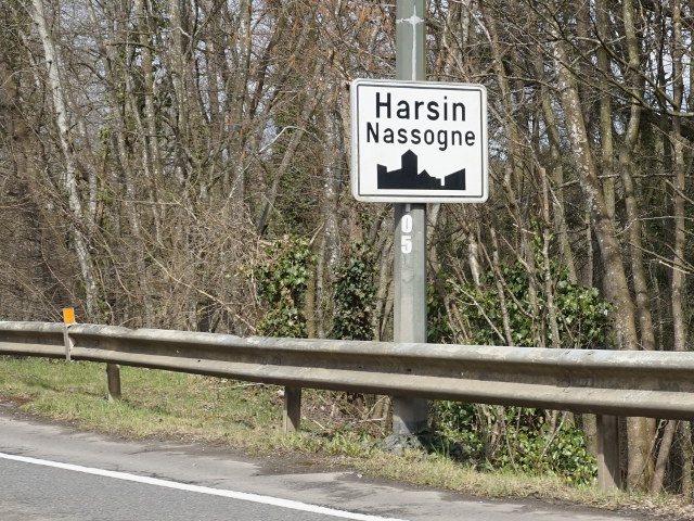 DSC03551harsin_w