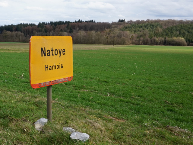 DSC03611natoye_g