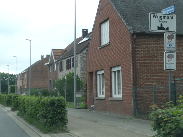 P1270677wijgmaal_w