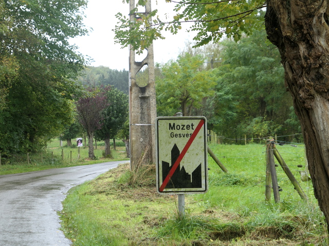 P1310469mozet_e