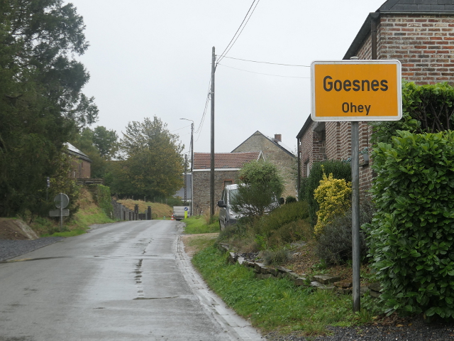 P1310475goesnes_g