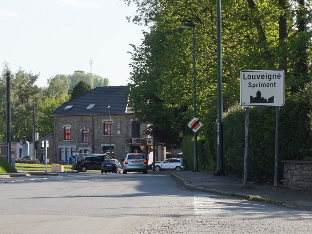 DSC03742louveigne_w