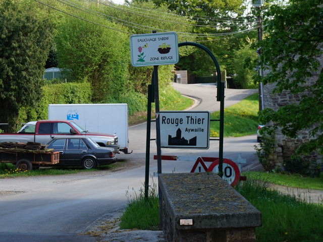 DSC03746rougethier_w