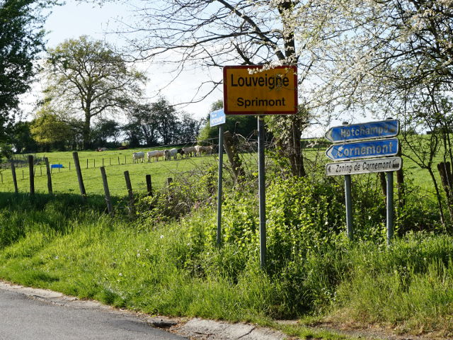 DSC03750louveigne_g