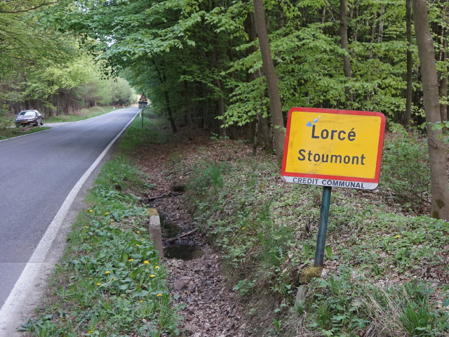 DSC03766lorce_g
