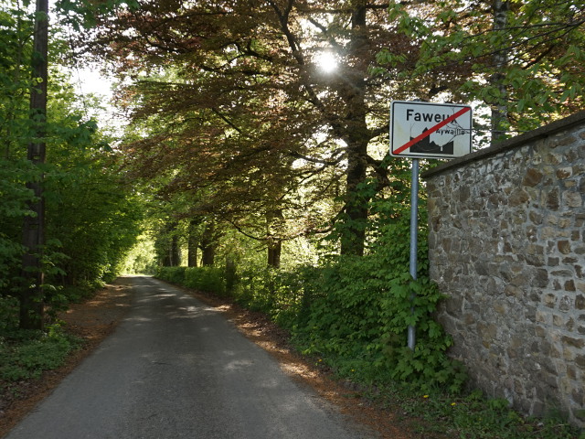 DSC03773faweux_e