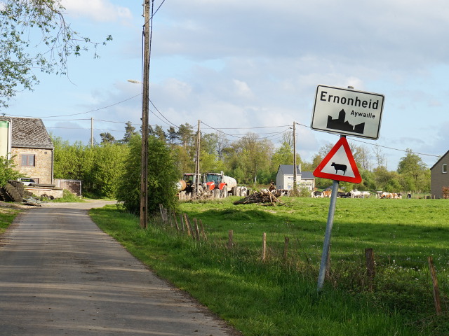 DSC03774ernonheid_w