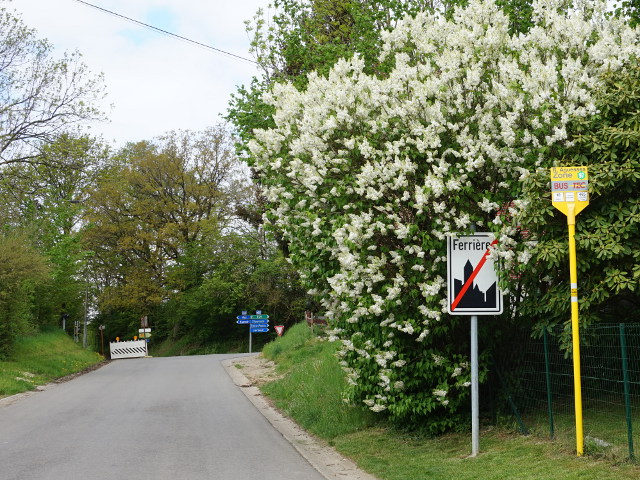 DSC03828ferrieres_e