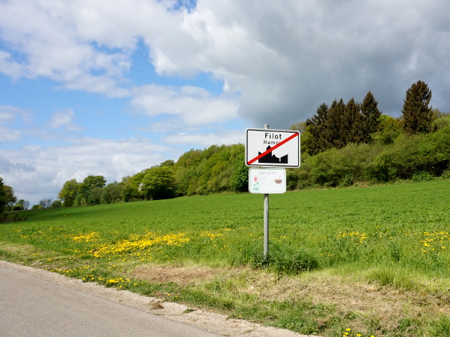 DSC03837filot_e