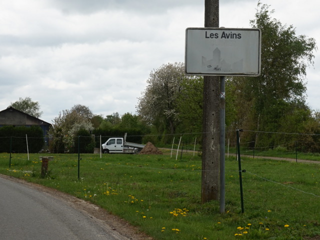 DSC03860lesavins_w