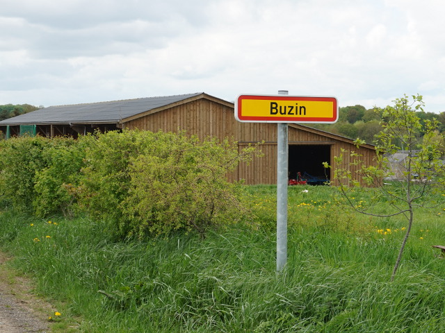 DSC03865buzin_g
