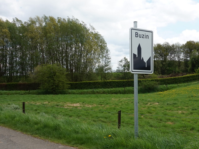 DSC03868buzin_w