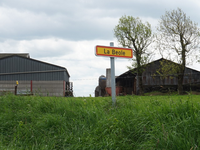 DSC03888labeole_g