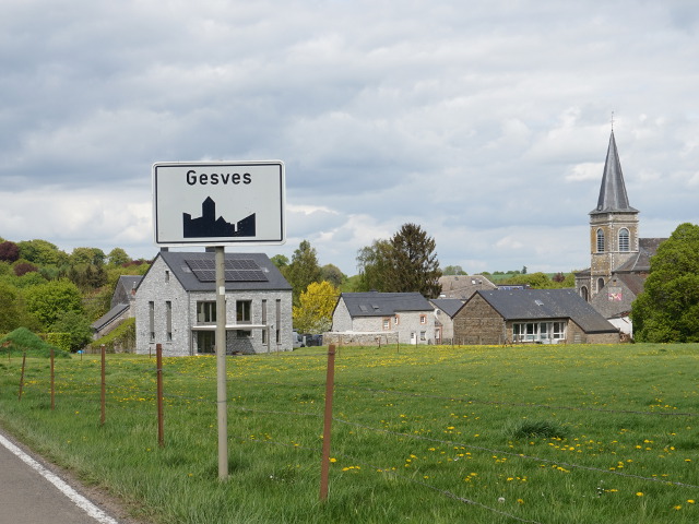 DSC03898gesves_w