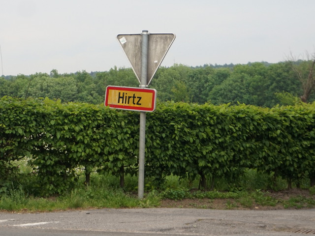 DSC04039hirtz_g