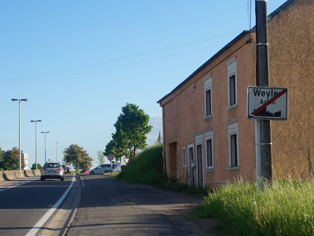 DSC04061weyler_e